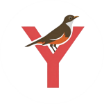 Picture of MYCSF