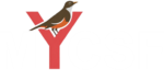 MYCSF